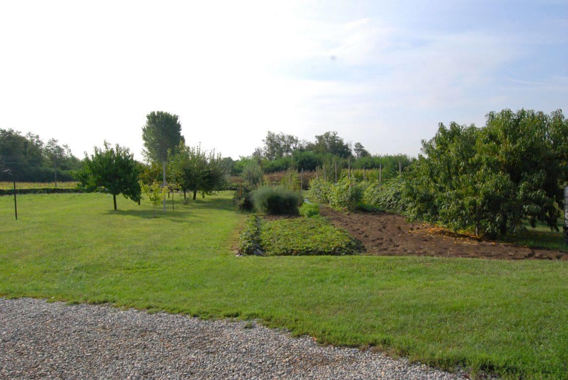 Agriturismo La Biandrina Carpignano Sesia Ngoại thất bức ảnh